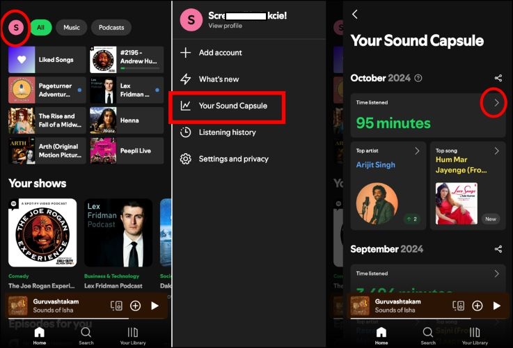 Sound Capsule | Spotify Receiptify