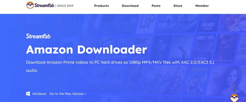erfolgreich heruntergeladen | kostenloser Amazon Video-Downloader