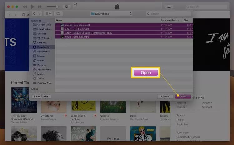 Klicken Sie auf „Öffnen“ | Laden Sie Amazon Music auf iTunes oder Apple Music herunter